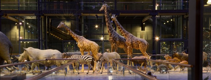 caravane_grande_galerie