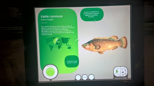 WP_20160604_14_59_08_Rich