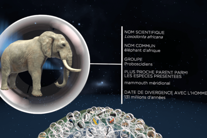 Cabinet VR_Muséum HN