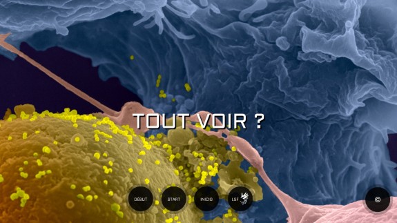 pasteur expo tout voir