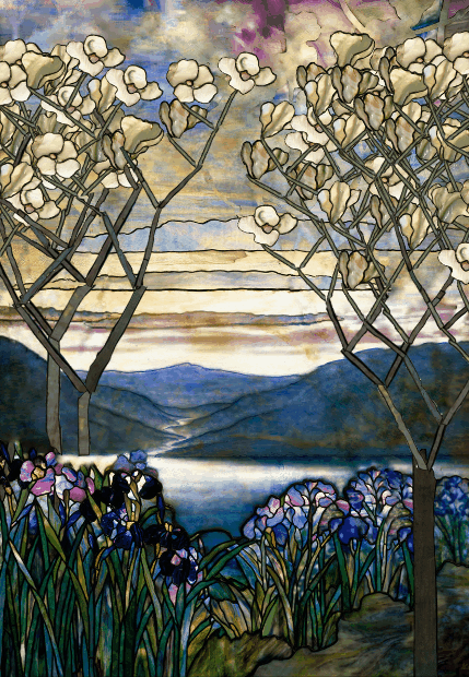 magnolias-and-irises