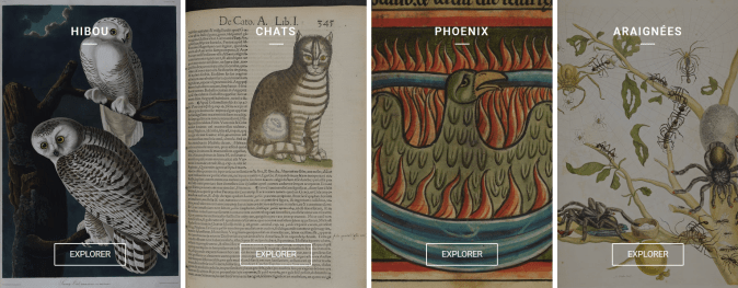 Harry Potter expo créatures magiques