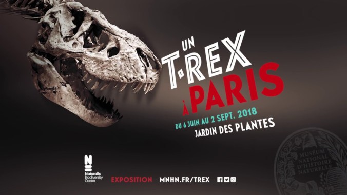 TREX Affiche